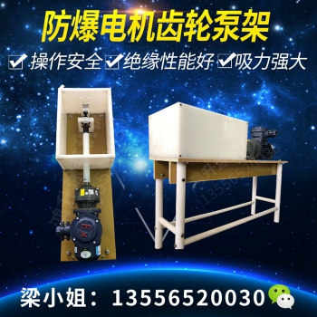 防爆电机齿轮泵组 (3)