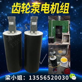 水性漆电机齿轮泵组