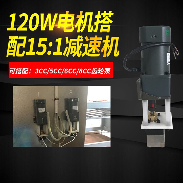 带电机齿轮泵（油性漆）